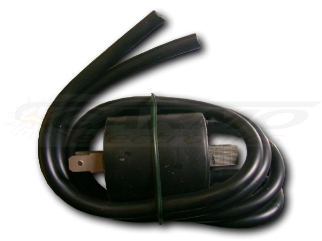 HT2-twin-CDI-ignition-coil-bobine-zundspule