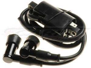 HT102 - 12V twin output ignition coil